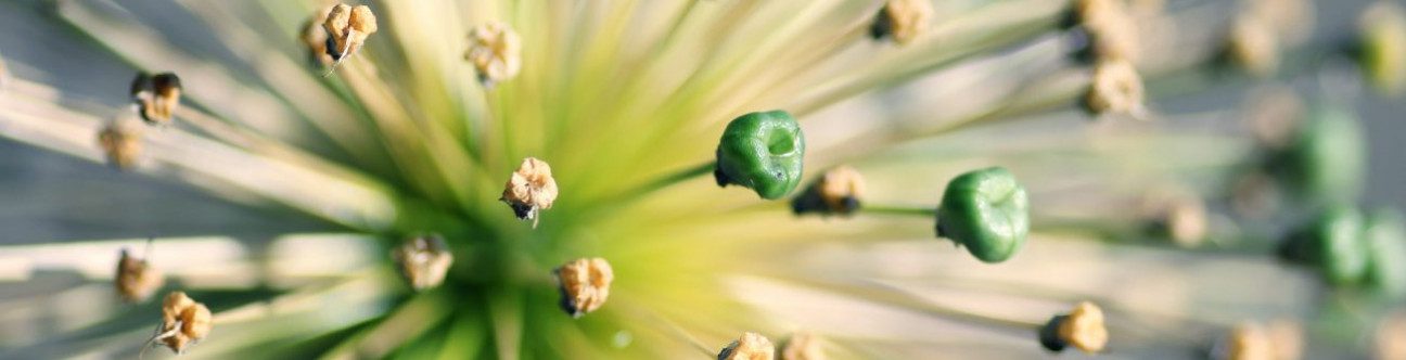 7 things you might not realise are against the UAE’s Labour Law