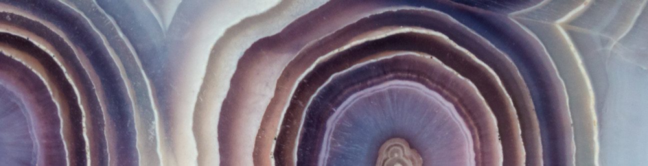 BSA and Zubair SEC Successfully Concludes Legal Clinic and Workshop for SMEs