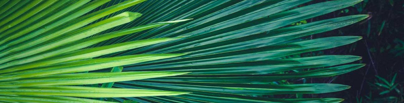 Brief on the new UAE Cabinet Decision No 58/2020 on the Regulation of the Procedures of Real Beneficiary