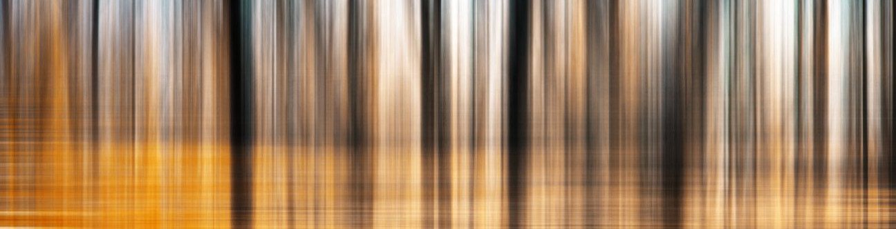 Country Feature – UAE: Exciting Growth Opportunities