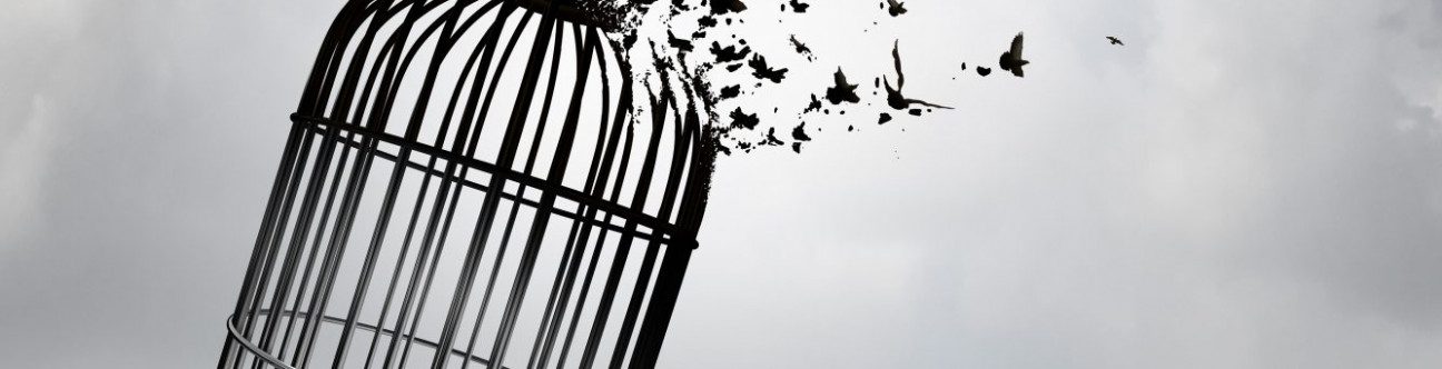 Dubai Customs Announces New Inventory Management System Requirements