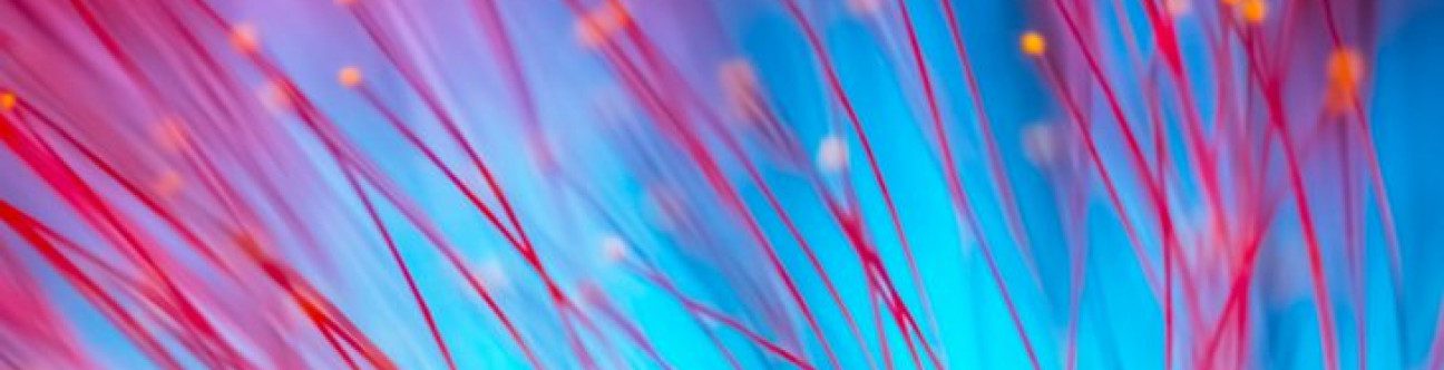 Dubai Government Expands Opportunities for the Private Sector