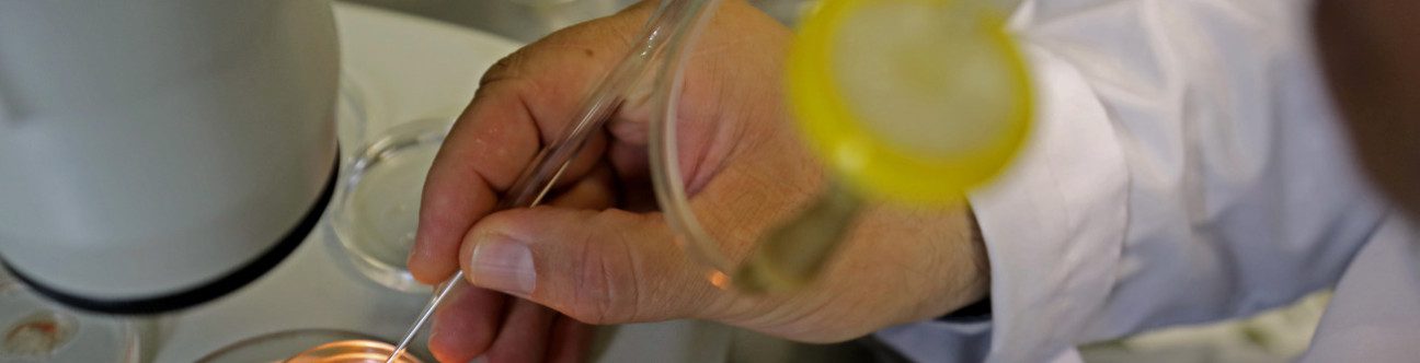 Egg freezing in the UAE: Law reforms and changing attitudes