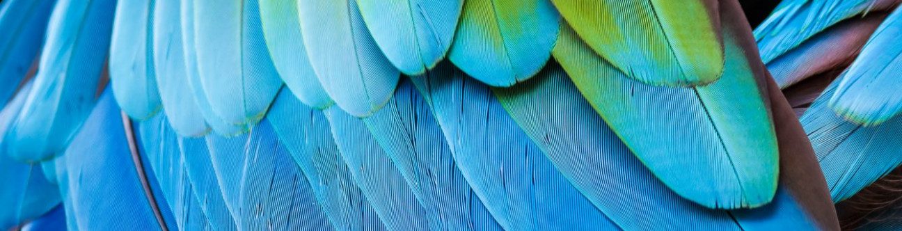 IFRS 17 & UAE Regulatory Landscape