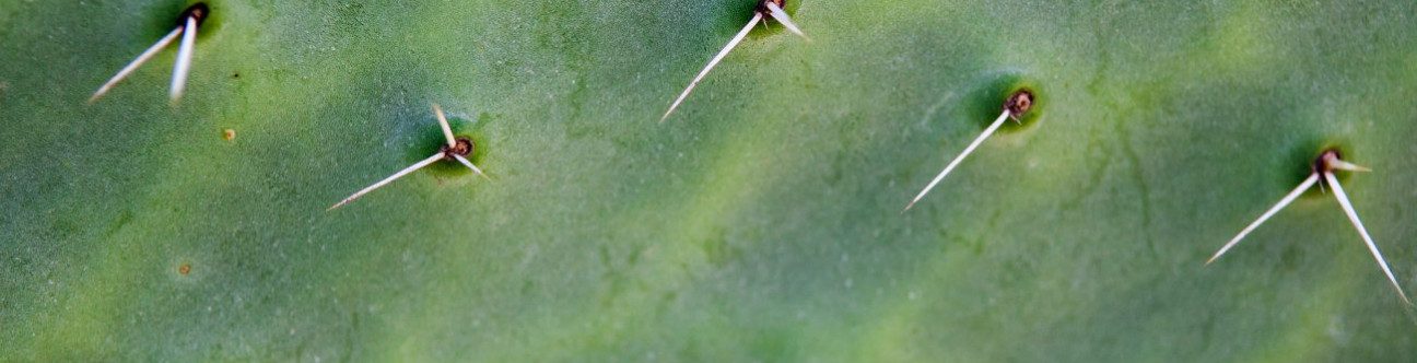 Insurance Authority Prudential Regulations