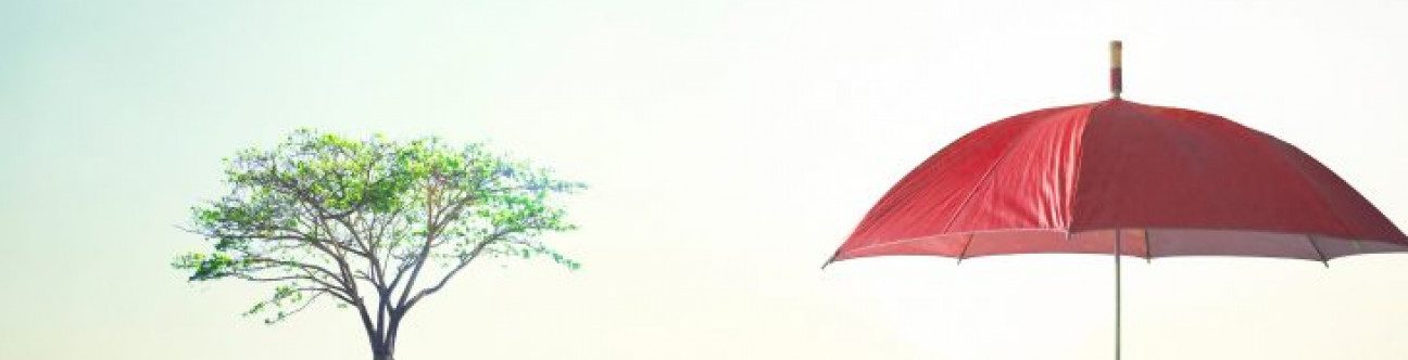 Insurance Regulation – Finding a Balance