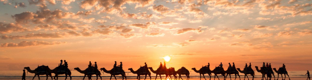 KSA – The Premier Hub for Startups in MENA by 2030