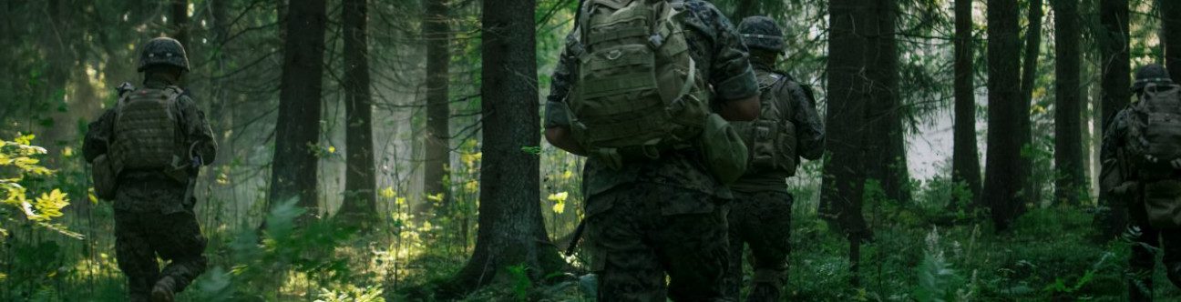 Legal Considerations In An Increasingly Diverse Defence Market