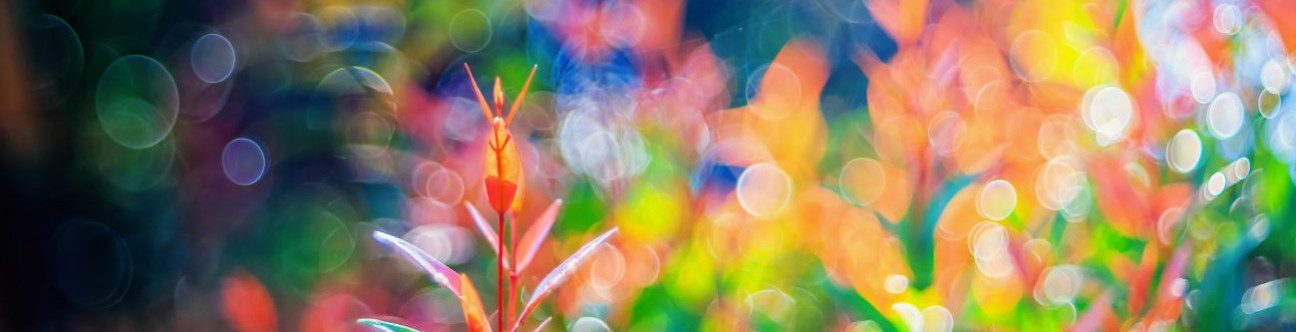 Lloyd’s and The DIFC – Making It A Suitable Match