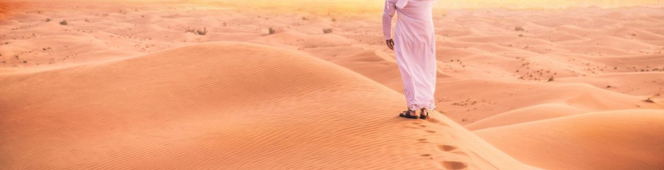 New Rules Regulating the Employment of the UAE Nationals in the Private Sector