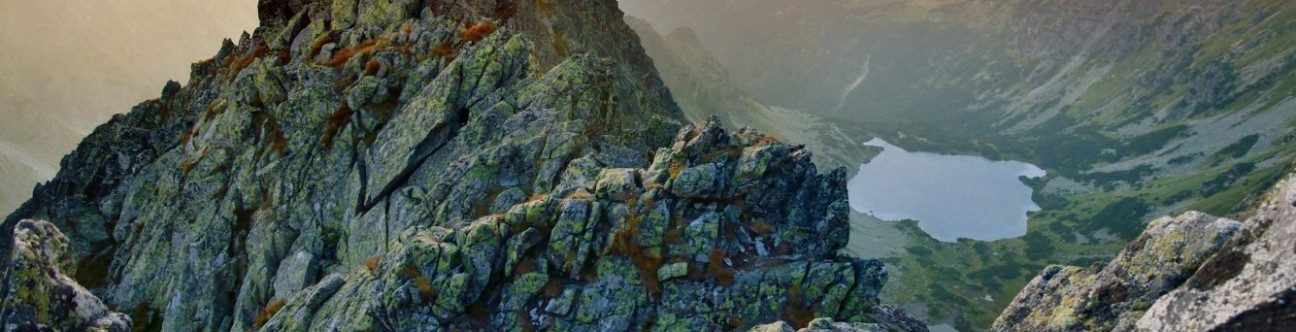 Oman Expat Recruitment Rules and Recent Restrictions