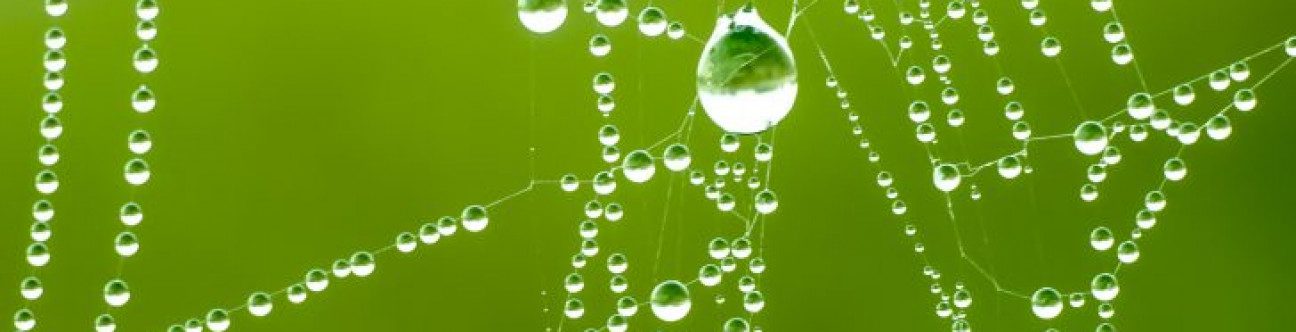 Overview of the Proceedings and Reasons for Delay within the Court of Cassation