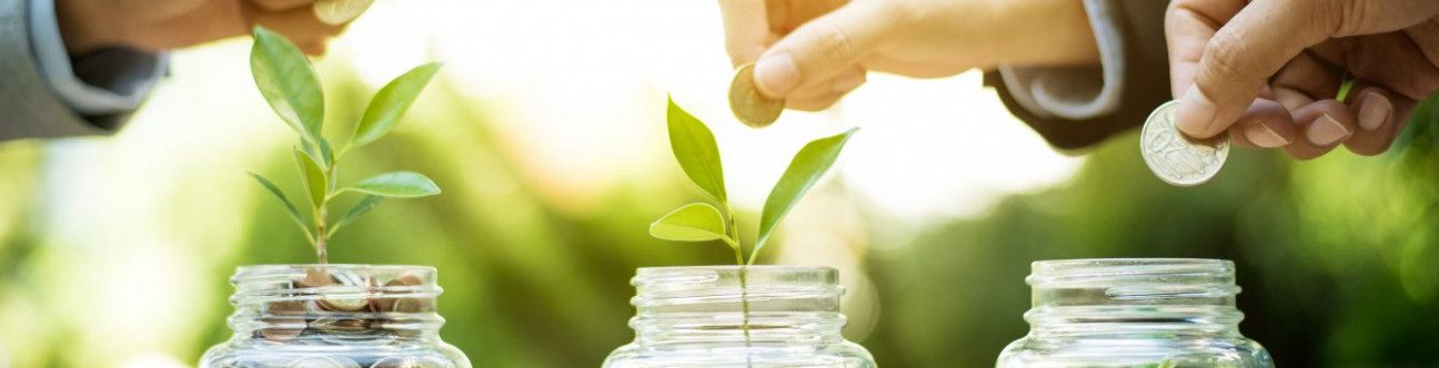 Real Estate Crowdfunding as Potential Opportunity for Investors and Entrepreneurs