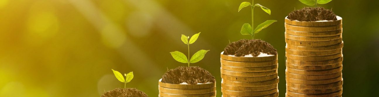 Recent Islamic Finance Developments In The UAE