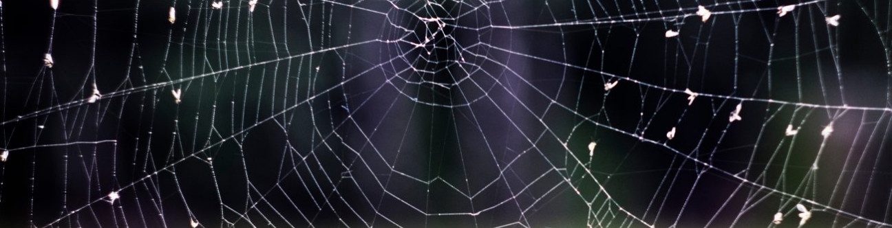 Staying Connected in KSA