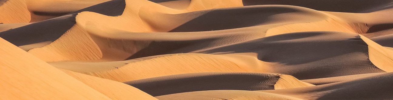 The New Foreign Capital Investment Law in Oman