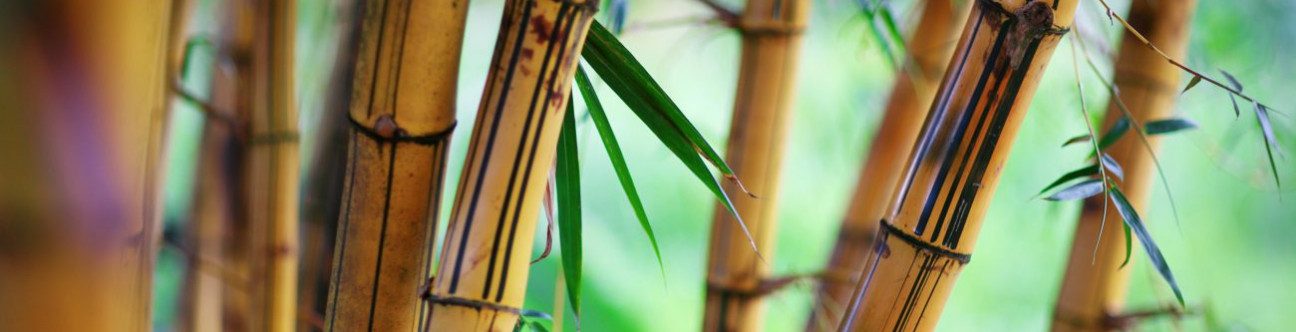 The UAE Progresses To Be A Global Hub For The Islamic Economy