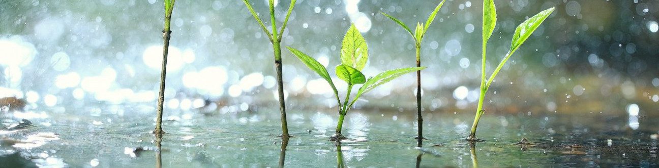 UAE Country report: Dubai Continues Its Ambitious Growth Path