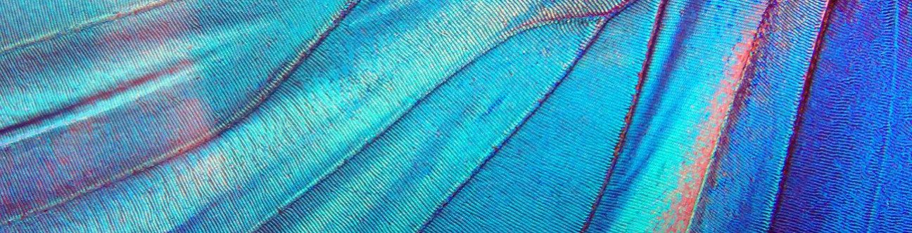 UAE Launches Long-Term Residency System for Non-Citizens