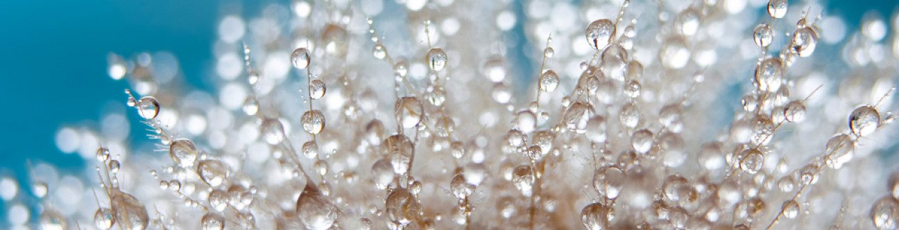 UAE Stays Top MENA Economy