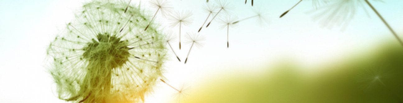 Updates on the New Security Regime Over Movable Property in the UAE