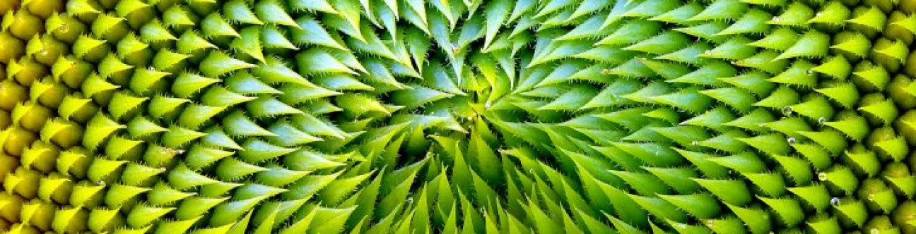 VAT is happening in the Free Zone