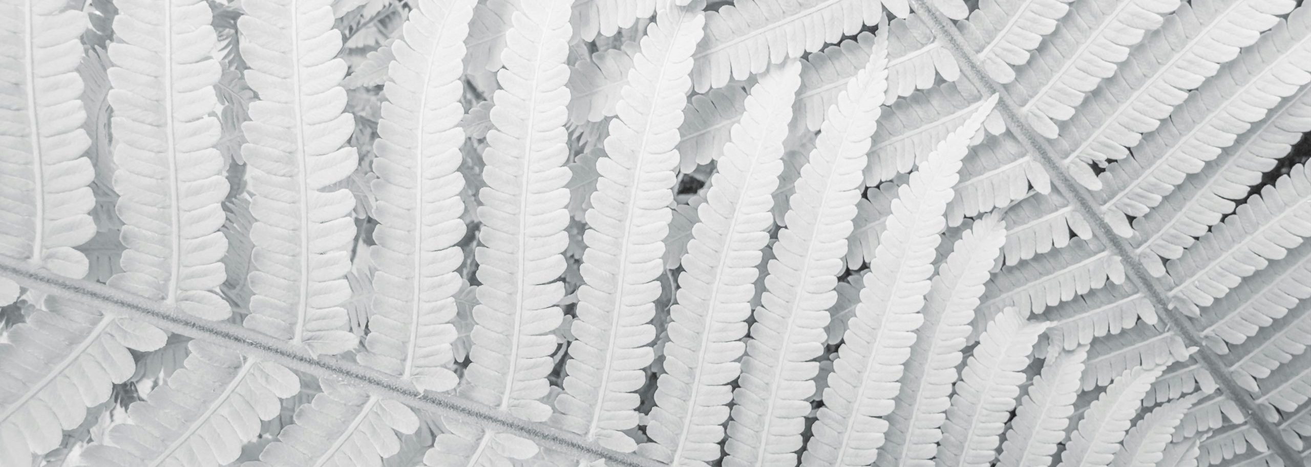 Key Amendments in UAE Federal Decree No. 9 of 2024: Boosting Labour Compliance, Worker Protections, and Dispute Resolution