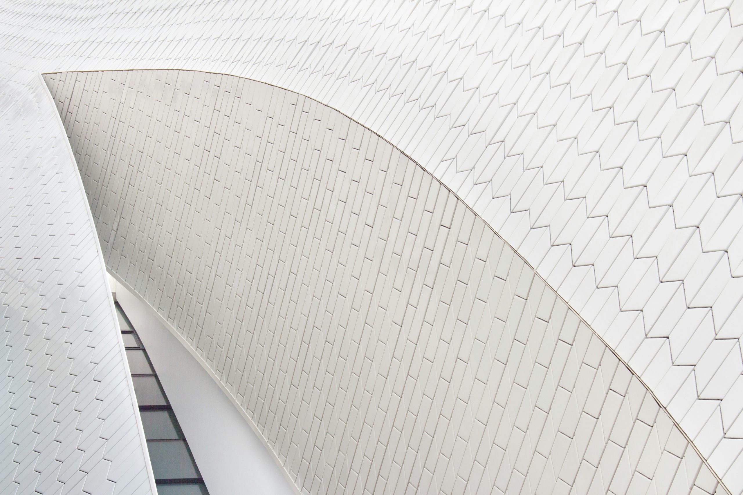 Free Zone Companies Cleared to Operate on Mainland